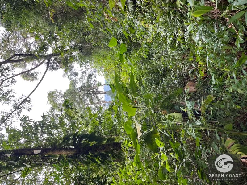 Rainforest Oasis Near Esquipulas Lodge: 61 Acres with Creek, Views & Utilities - Owner Financing! — view 9, Quepos, Quepos, Costa Rica