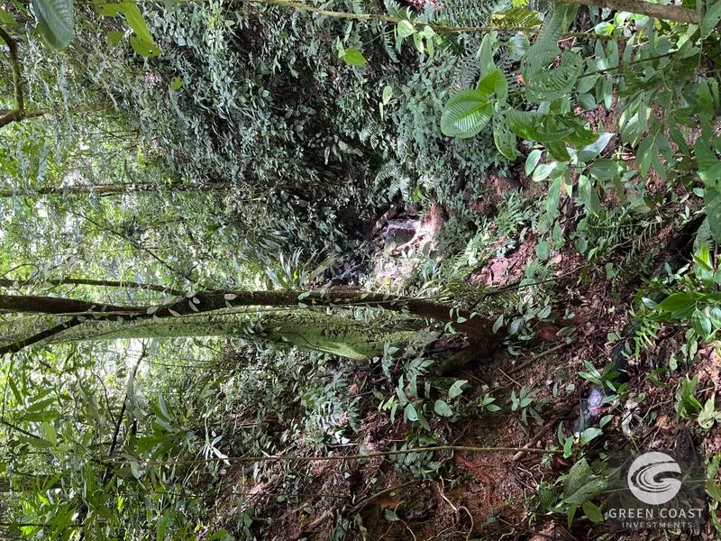 Rainforest Oasis Near Esquipulas Lodge: 61 Acres with Creek, Views & Utilities - Owner Financing! — view 12, Quepos, Quepos, Costa Rica