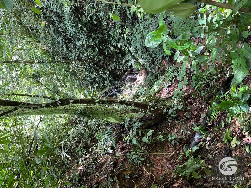 Rainforest Oasis Near Esquipulas Lodge: 61 Acres with Creek, Views & Utilities - Owner Financing! — view 13, Quepos, Quepos, Costa Rica