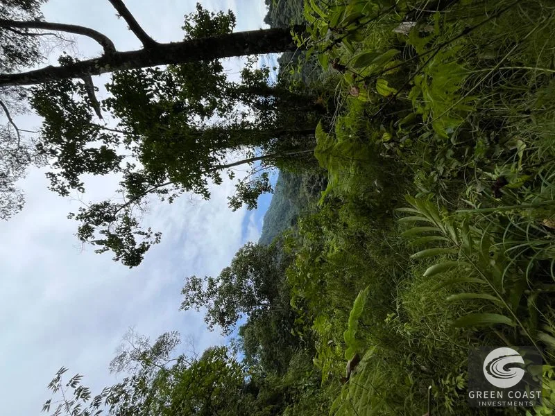 Rainforest Oasis Near Esquipulas Lodge: 61 Acres with Creek, Views & Utilities - Owner Financing! — view 14, Quepos, Quepos, Costa Rica