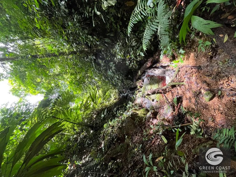 Rainforest Oasis Near Esquipulas Lodge: 61 Acres with Creek, Views & Utilities - Owner Financing! — view 15, Quepos, Quepos, Costa Rica