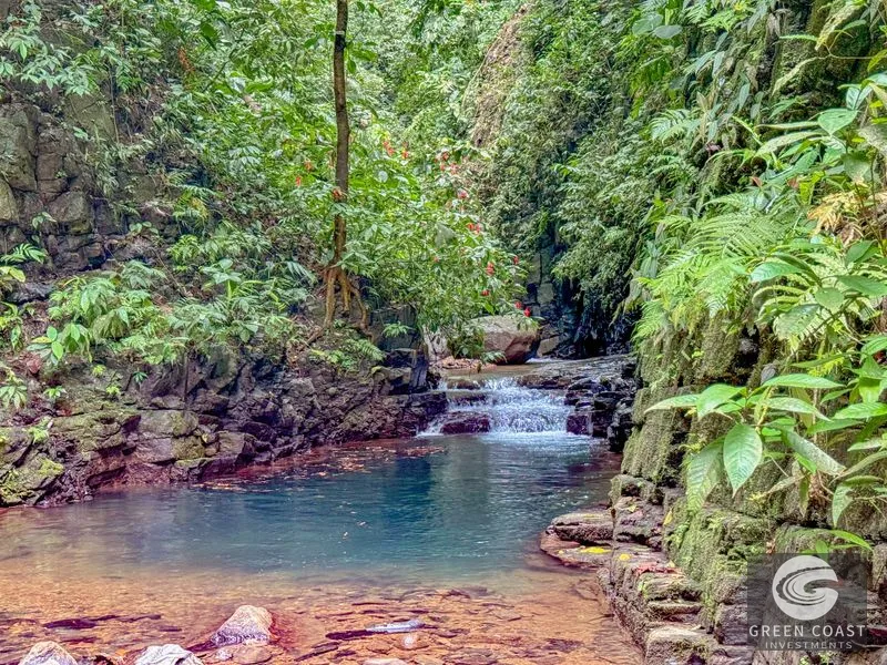 Tres Rios Jungle Retreat: 2 Homes, River, Waterfall & Ocean Views on 6.5 Acres — view 81, Tres Ríos, Ojochal, Costa Rica
