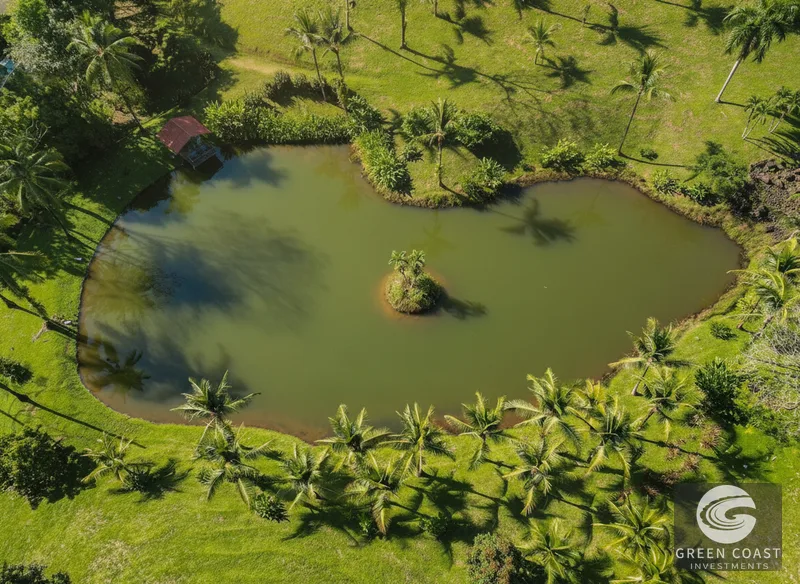 New 4-Bed Luxury Villa in Manuel Antonio's Exclusive Gated Community with Mountain & Lake Views — view 4, Quepos, Costa Rica