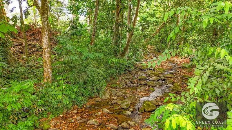 Ojochal Oasis: Riverfront 3-Bed Home with Jungle Views & Expansion Potential — view 61, Ojochal, Ojochal, Costa Rica
