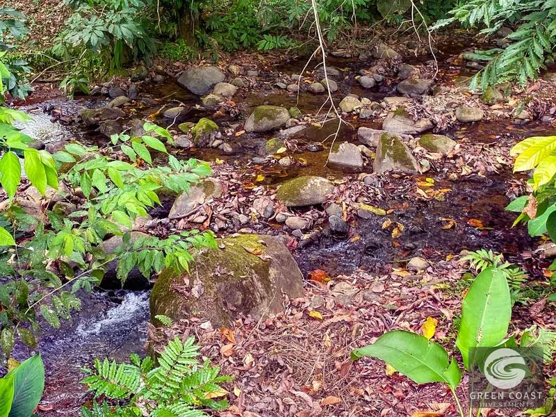 Ojochal Oasis: Riverfront 3-Bed Home with Jungle Views & Expansion Potential — view 63, Ojochal, Ojochal, Costa Rica