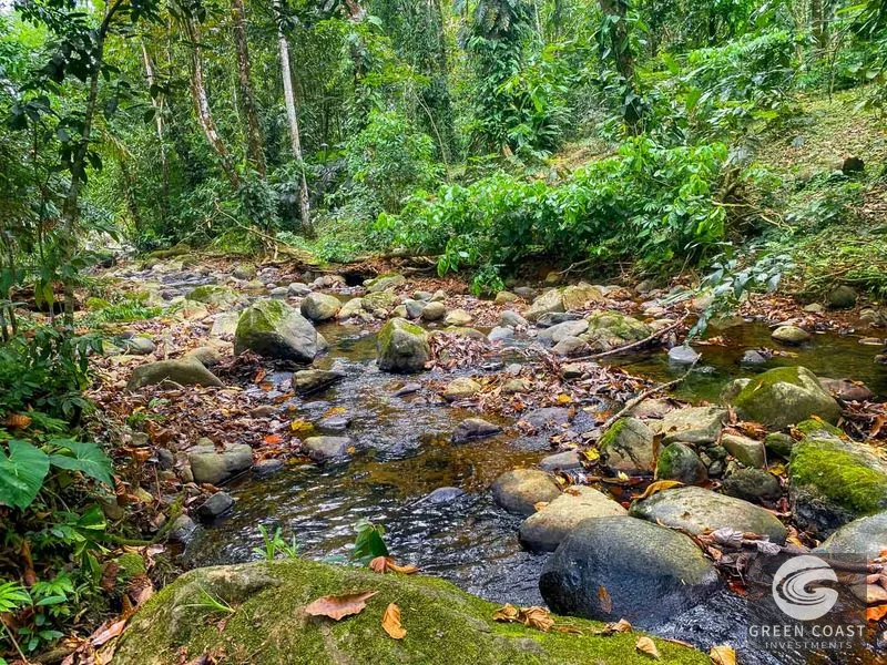 Ojochal Oasis: Riverfront 3-Bed Home with Jungle Views & Expansion Potential — view 64, Ojochal, Ojochal, Costa Rica