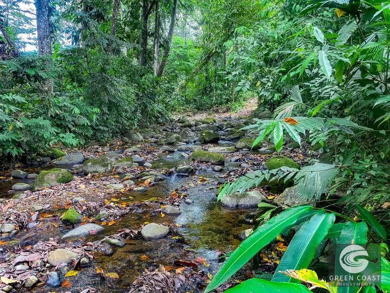 Ojochal Oasis: Riverfront 3-Bed Home with Jungle Views & Expansion Potential — view 65, Ojochal, Ojochal, Costa Rica