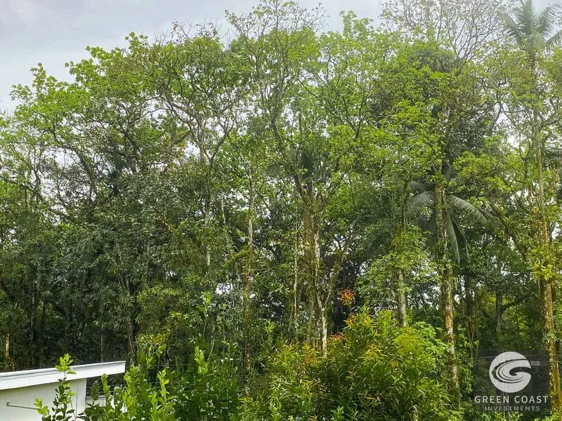 Ojochal Oasis: Riverfront 3-Bed Home with Jungle Views & Expansion Potential — view 67, Ojochal, Ojochal, Costa Rica