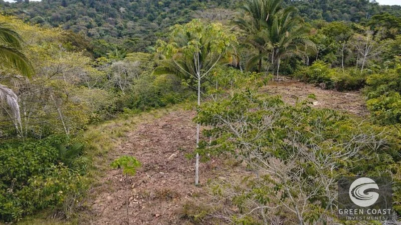 17.2 Acres in the Heart of the Rainforest – Prime Coastal Location Between Manuel Antonio & Dominical — view 2, Portalon de Quepos, Quepos, Costa Rica