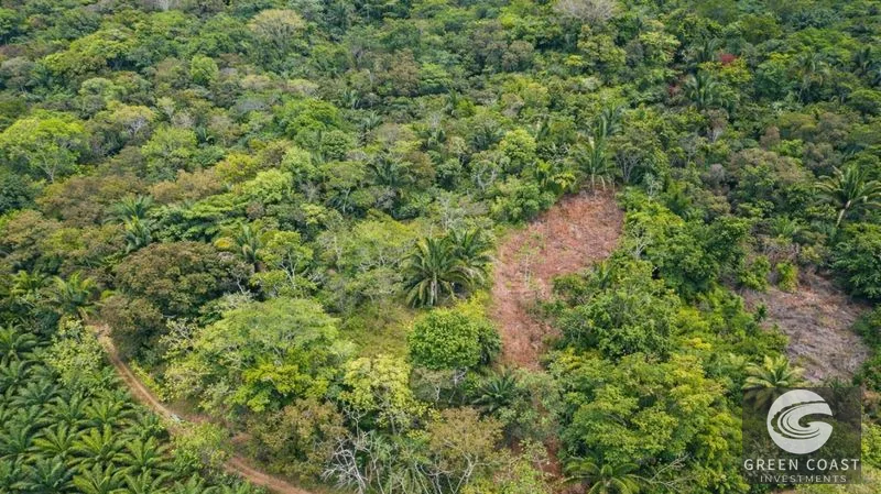 17.2 Acres in the Heart of the Rainforest – Prime Coastal Location Between Manuel Antonio & Dominical — view 3, Portalon de Quepos, Quepos, Costa Rica