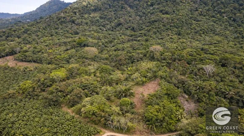 17.2 Acres in the Heart of the Rainforest – Prime Coastal Location Between Manuel Antonio & Dominical — view 4, Portalon de Quepos, Quepos, Costa Rica