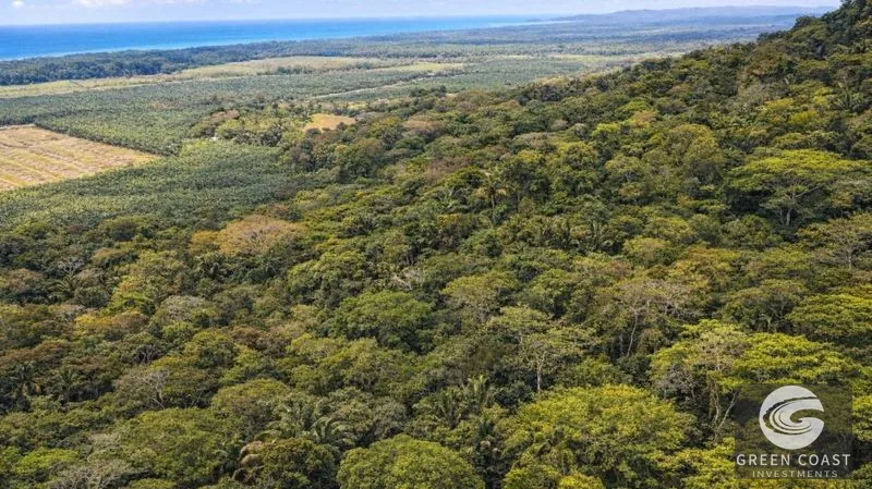 17.2 Acres in the Heart of the Rainforest – Prime Coastal Location Between Manuel Antonio & Dominical — view 6, Portalon de Quepos, Quepos, Costa Rica