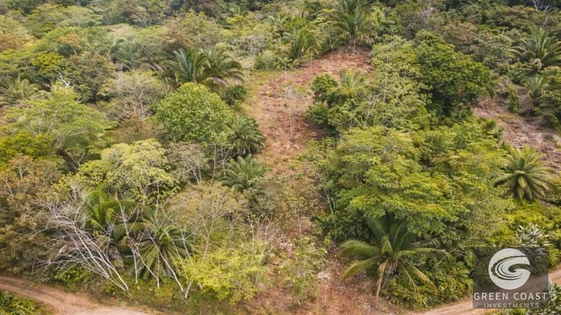 17.2 Acres in the Heart of the Rainforest – Prime Coastal Location Between Manuel Antonio & Dominical — view 7, Portalon de Quepos, Quepos, Costa Rica