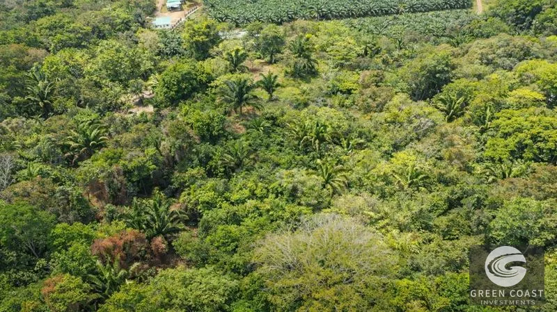17.2 Acres in the Heart of the Rainforest – Prime Coastal Location Between Manuel Antonio & Dominical — view 8, Portalon de Quepos, Quepos, Costa Rica