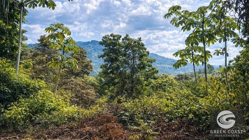 17.2 Acres in the Heart of the Rainforest – Prime Coastal Location Between Manuel Antonio & Dominical — view 9, Portalon de Quepos, Quepos, Costa Rica