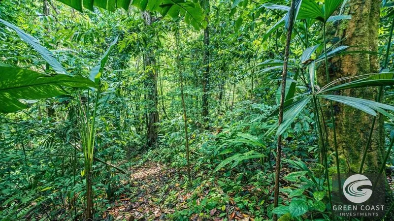 17.2 Acres in the Heart of the Rainforest – Prime Coastal Location Between Manuel Antonio & Dominical — view 10, Portalon de Quepos, Quepos, Costa Rica
