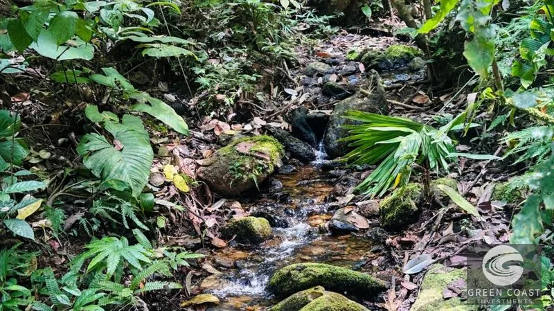 17.2 Acres in the Heart of the Rainforest – Prime Coastal Location Between Manuel Antonio & Dominical — view 12, Portalon de Quepos, Quepos, Costa Rica