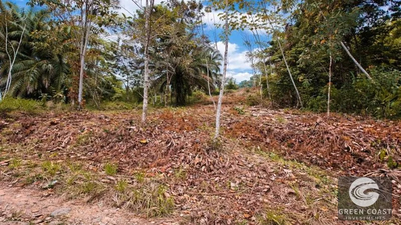 17.2 Acres in the Heart of the Rainforest – Prime Coastal Location Between Manuel Antonio & Dominical — view 13, Portalon de Quepos, Quepos, Costa Rica