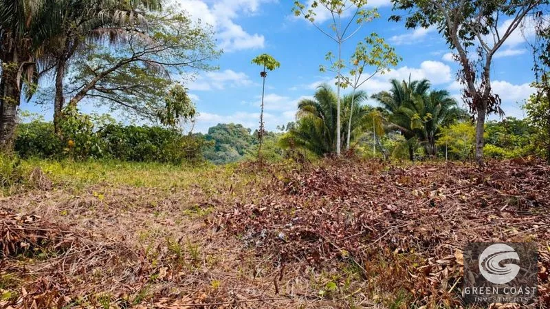 17.2 Acres in the Heart of the Rainforest – Prime Coastal Location Between Manuel Antonio & Dominical — view 14, Portalon de Quepos, Quepos, Costa Rica