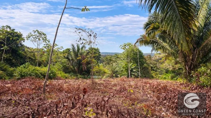17.2 Acres in the Heart of the Rainforest – Prime Coastal Location Between Manuel Antonio & Dominical — view 15, Portalon de Quepos, Quepos, Costa Rica