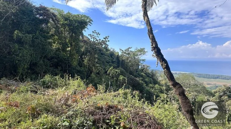Eagle View Estate: Luxury Ocean-View Land in Hatillo, Dominical – Gated Community with Panoramic Views — view 2, Quepos (Aguirre), Costa Rica