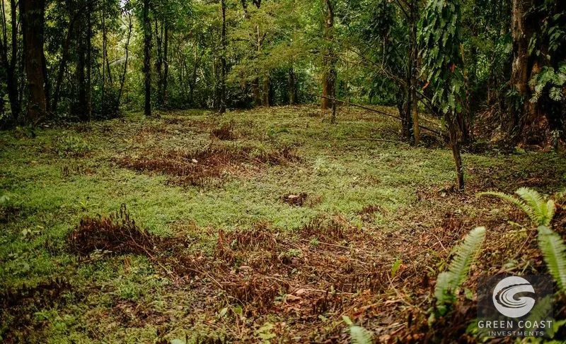 Premier Ocean View Investment Land in Manuel Antonio Region with River Frontage — view 2, Quepos, Costa Rica