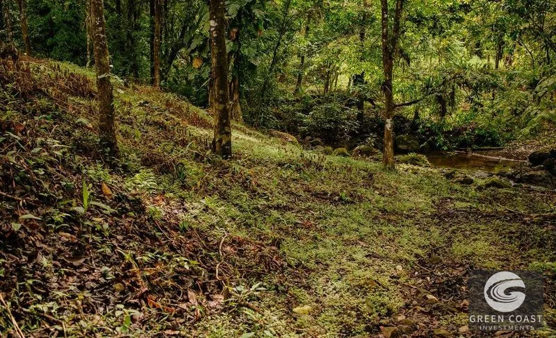 Premier Ocean View Investment Land in Manuel Antonio Region with River Frontage — view 4, Quepos, Costa Rica