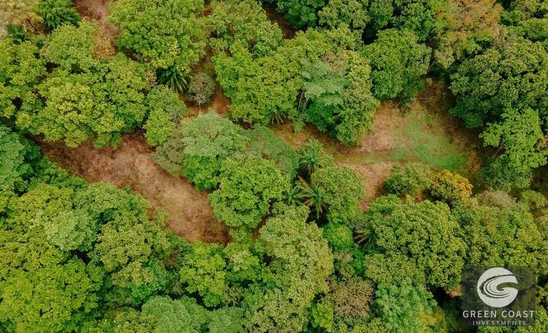 Premier Ocean View Investment Land in Manuel Antonio Region with River Frontage — view 7, Quepos, Costa Rica