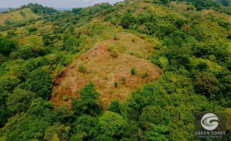 Premier Ocean View Investment Land in Manuel Antonio Region with River Frontage — view 8, Quepos, Costa Rica