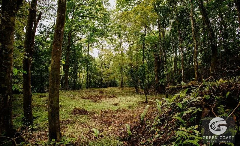 Premier Ocean View Investment Land in Manuel Antonio Region with River Frontage — view 10, Quepos, Costa Rica