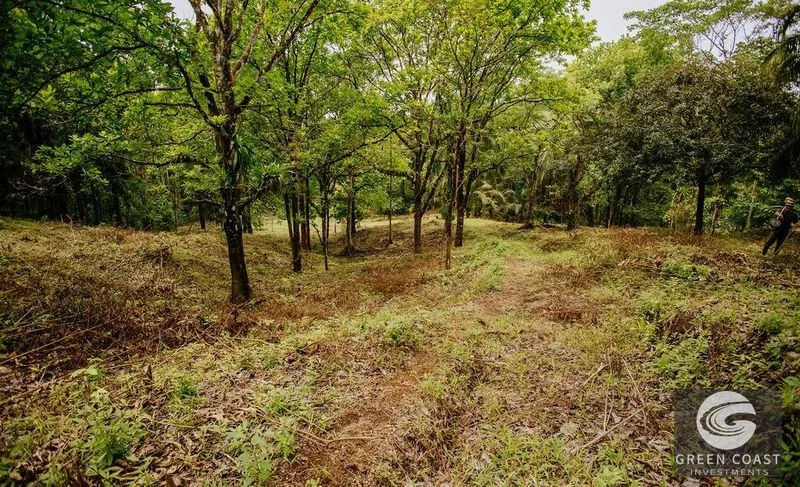 Premier Ocean View Investment Land in Manuel Antonio Region with River Frontage — view 11, Quepos, Costa Rica