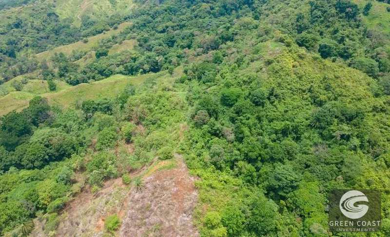 Premier Ocean View Investment Land in Manuel Antonio Region with River Frontage — view 13, Quepos, Costa Rica