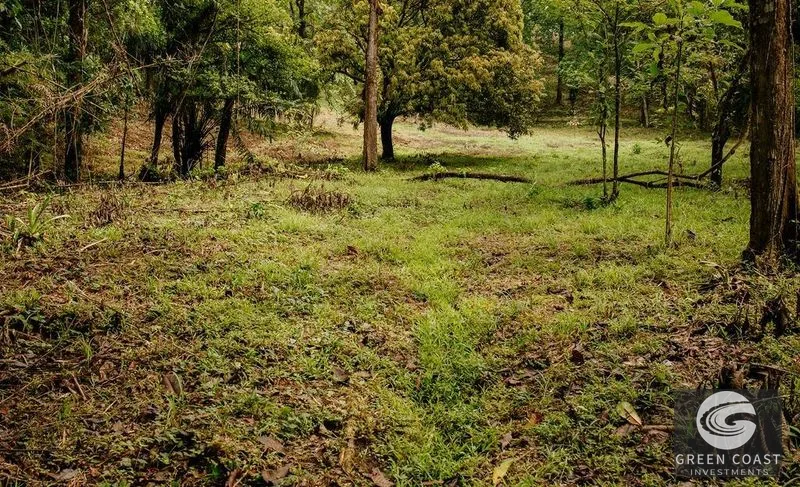 Premier Ocean View Investment Land in Manuel Antonio Region with River Frontage — view 15, Quepos, Costa Rica