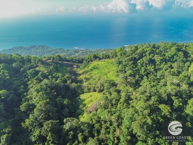 55-Acre Escaleras Farm: Ocean View, 9 Water Taps & 6 Building Sites — view 1, Dominical, Dominical, Costa Rica