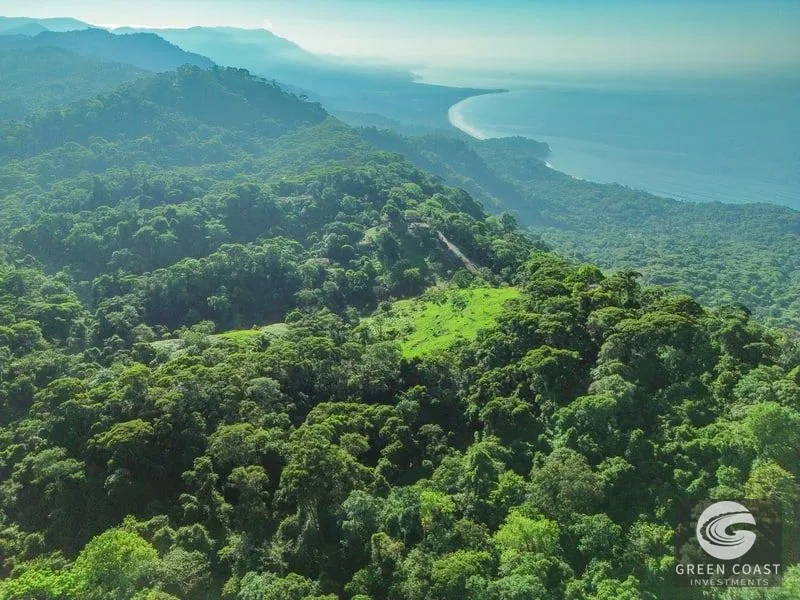 55-Acre Escaleras Farm: Ocean View, 9 Water Taps & 6 Building Sites — view 3, Dominical, Dominical, Costa Rica