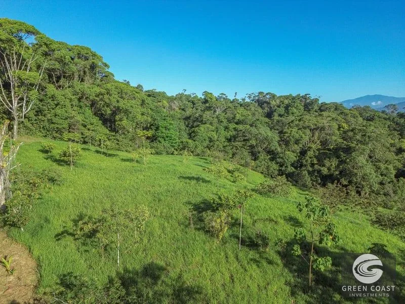 55-Acre Escaleras Farm: Ocean View, 9 Water Taps & 6 Building Sites — view 5, Dominical, Dominical, Costa Rica