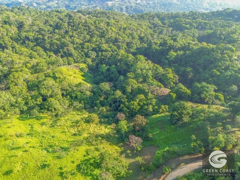 55-Acre Escaleras Farm: Ocean View, 9 Water Taps & 6 Building Sites — view 6, Dominical, Dominical, Costa Rica