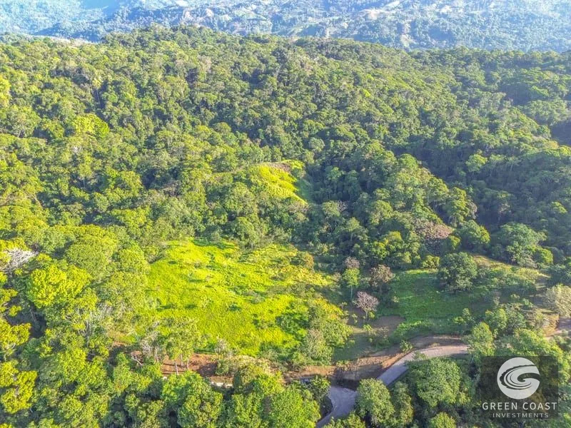 55-Acre Escaleras Farm: Ocean View, 9 Water Taps & 6 Building Sites — view 7, Dominical, Dominical, Costa Rica