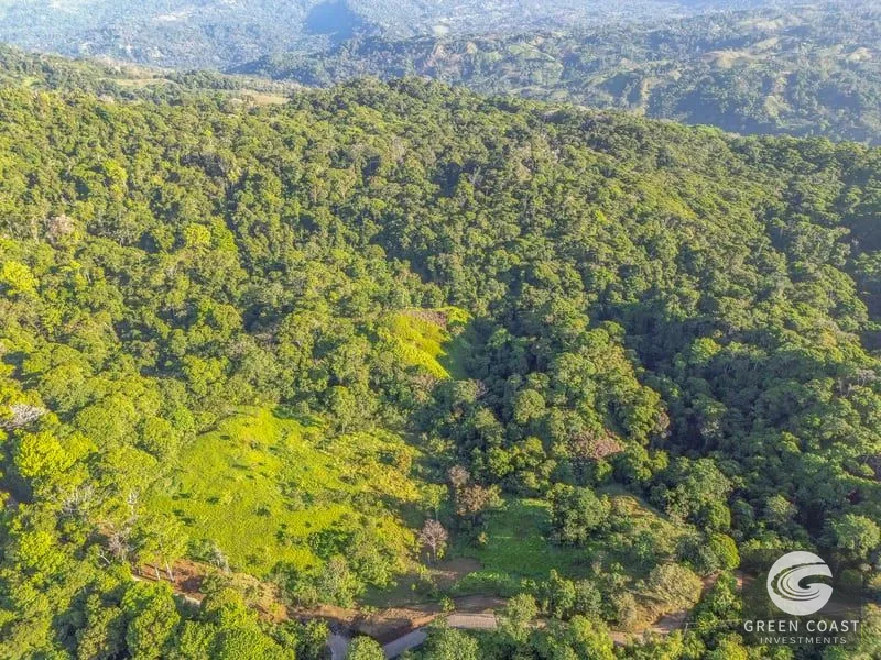 55-Acre Escaleras Farm: Ocean View, 9 Water Taps & 6 Building Sites — view 8, Dominical, Dominical, Costa Rica