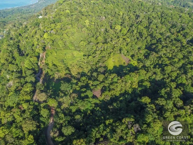55-Acre Escaleras Farm: Ocean View, 9 Water Taps & 6 Building Sites — view 10, Dominical, Dominical, Costa Rica