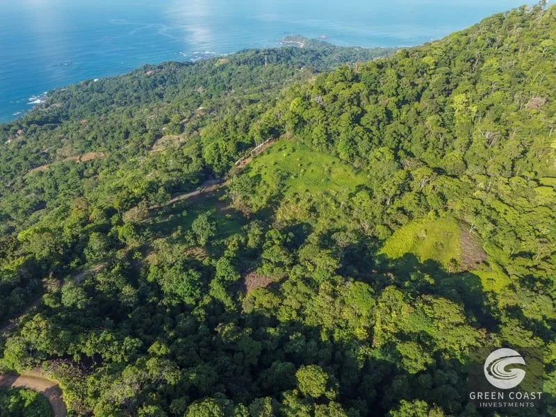 55-Acre Escaleras Farm: Ocean View, 9 Water Taps & 6 Building Sites — view 11, Dominical, Dominical, Costa Rica