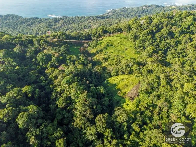 55-Acre Escaleras Farm: Ocean View, 9 Water Taps & 6 Building Sites — view 12, Dominical, Dominical, Costa Rica