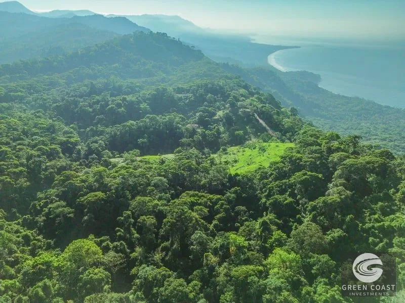 55-Acre Escaleras Farm: Ocean View, 9 Water Taps & 6 Building Sites — view 13, Dominical, Dominical, Costa Rica