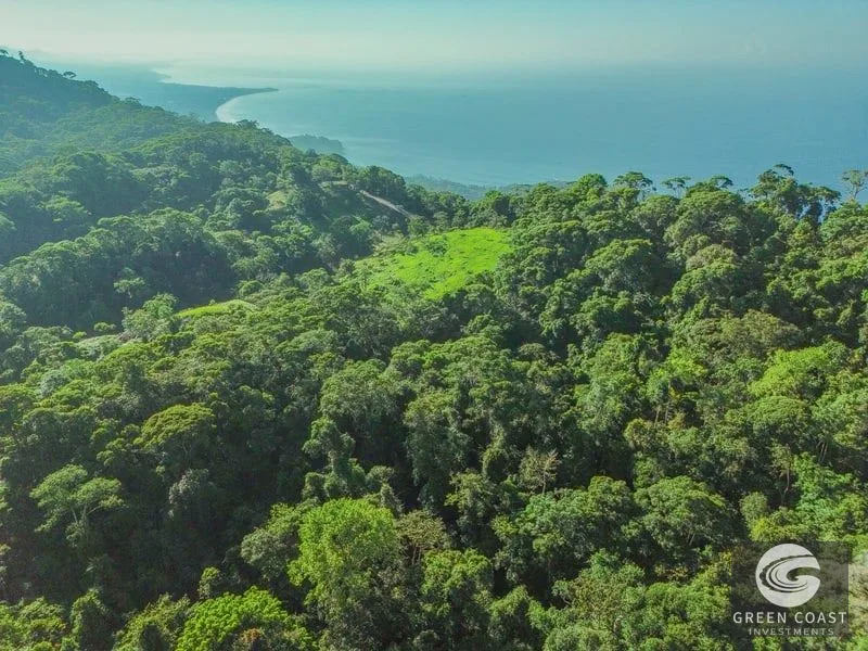 55-Acre Escaleras Farm: Ocean View, 9 Water Taps & 6 Building Sites — view 14, Dominical, Dominical, Costa Rica