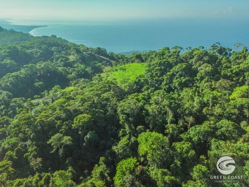 55-Acre Escaleras Farm: Ocean View, 9 Water Taps & 6 Building Sites — view 15, Dominical, Dominical, Costa Rica