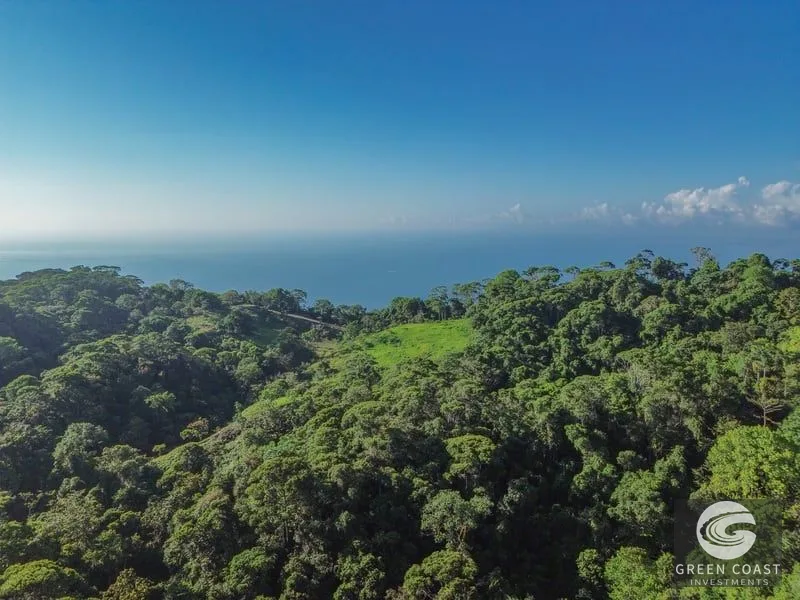 55-Acre Escaleras Farm: Ocean View, 9 Water Taps & 6 Building Sites — view 18, Dominical, Dominical, Costa Rica