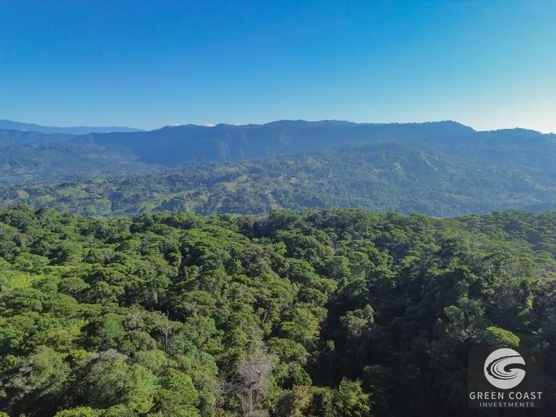 55-Acre Escaleras Farm: Ocean View, 9 Water Taps & 6 Building Sites — view 19, Dominical, Dominical, Costa Rica