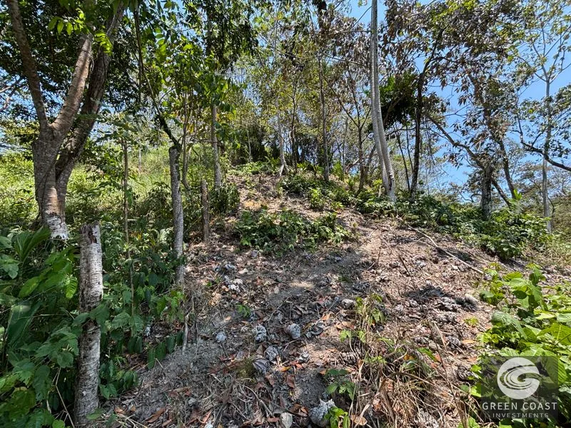 Ocean View Estate Lot Near Manuel Antonio – Ready to Build Your Dream Home — view 4, Quepos, Quepos, Costa Rica