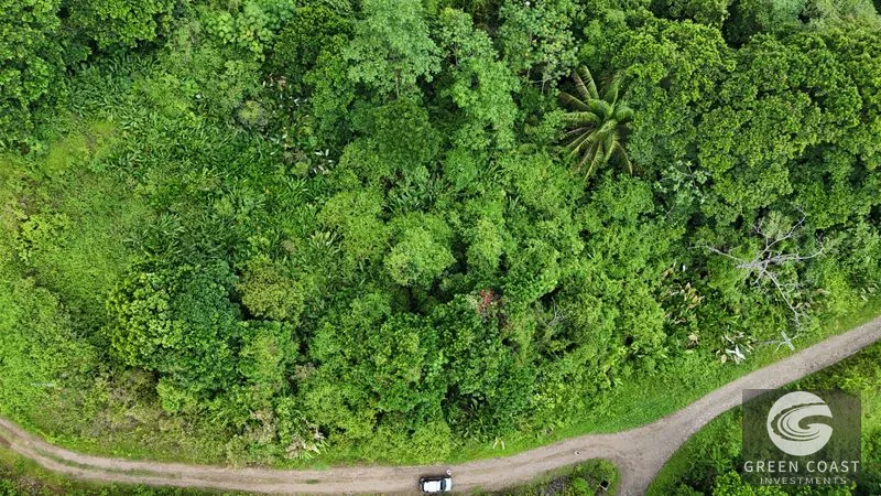 Expansive 5,225m² Lot in Las Palmas, Parrita – Ocean View Potential, Ready for Your Dream Project! — view 1, Parrita, Costa Rica