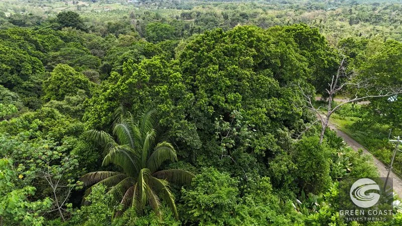 Expansive 5,225m² Lot in Las Palmas, Parrita – Ocean View Potential, Ready for Your Dream Project! — view 2, Parrita, Costa Rica
